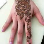 IMG_0264 IMG_0264