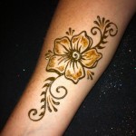 IMG_0370 IMG_0370
