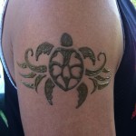 IMG_0382 IMG_0382