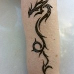 IMG_0391 IMG_0391