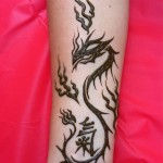 IMG_0410 IMG_0410