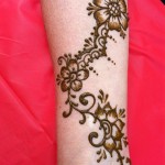 IMG_0412 IMG_0412
