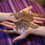 IMG_2003 IMG_2003