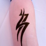 IMG_3705 IMG_3705