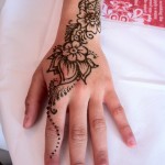 IMG_3709 IMG_3709