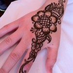 IMG_3715 IMG_3715