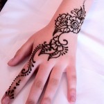 IMG_3729 IMG_3729
