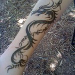 IMG_4257 IMG_4257