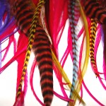 Chicago.hair.extensions.rockyourbodyart2 Chicago.hair.extensions.rockyourbodyart2