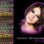 feather-extensions-for-hair-style-1 feather-extensions-for-hair-style-1